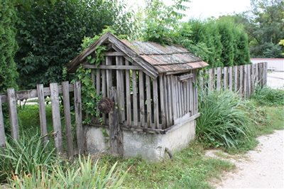 IMG 2503