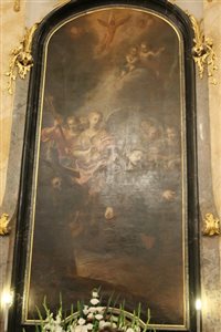IMG 2659