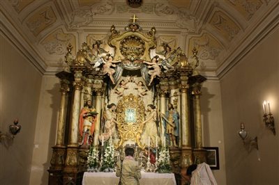 IMG 2661
