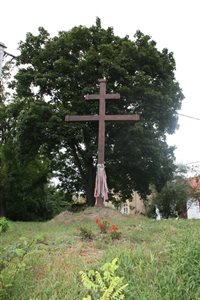 IMG 2705