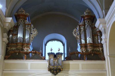IMG 2756