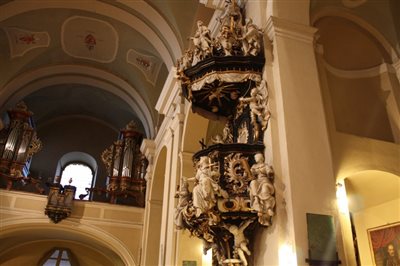 IMG 2761