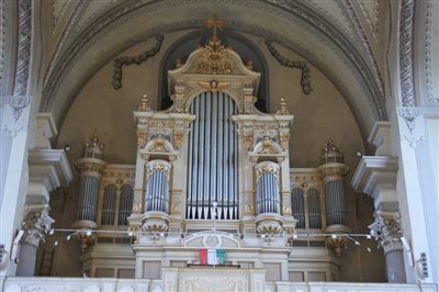 IMG 2803