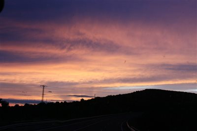 IMG 2824