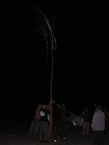 P4300026