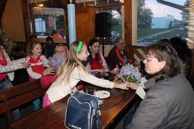 img 3801 resize