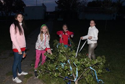 img 3813 resize