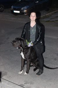 img 3816 resize