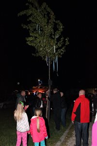 img 3852 resize