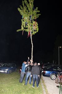 img 4924 resize