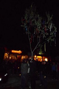 dscn0707