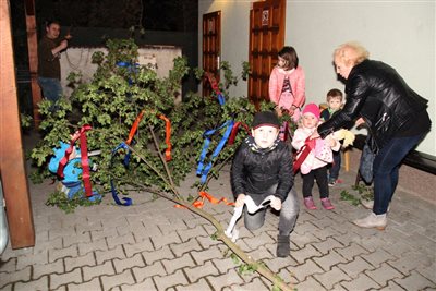 img 3320 resize