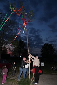 img 4833 resize