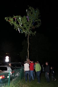 img 7399 resize