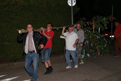 img 0337 resize