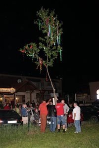 img 0346 resize