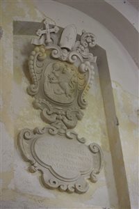img 9482