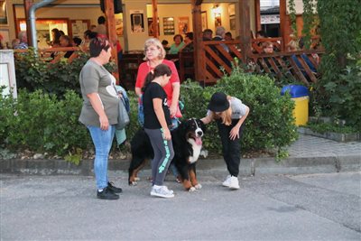 img 3100 resize