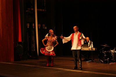 IMG 4661