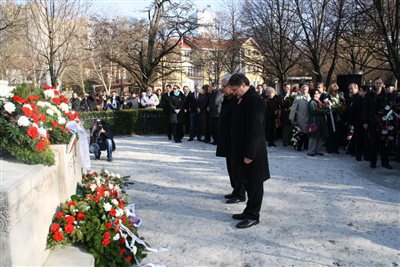 IMG 1379 resize