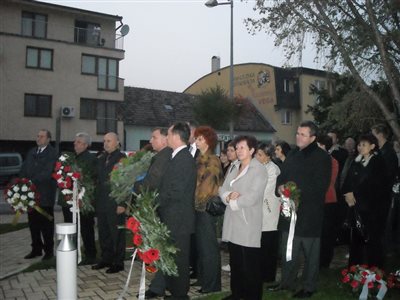 Koszoruzas1 resize FM