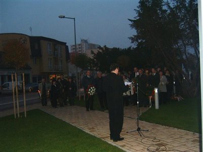 szman010