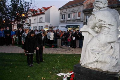 DurayZoli 12
