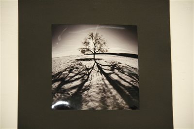 MG 8973 resize