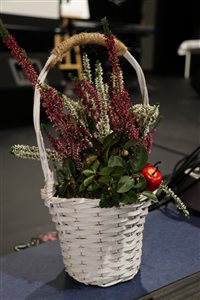 img 1981 resize