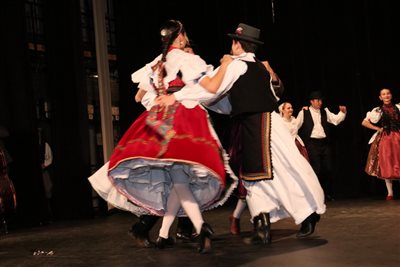 img 4033 resize