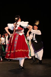 img 4035 resize