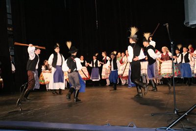 img 4091 resize