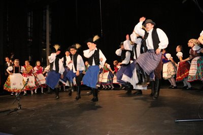 img 4105 resize