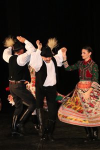 img 4145 resize