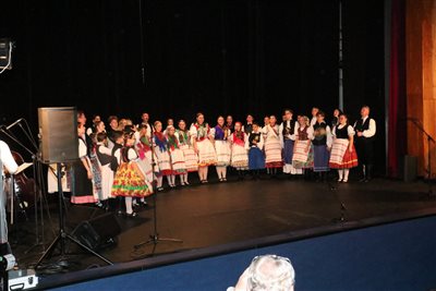 img 4161 resize