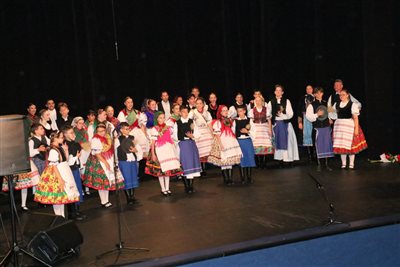 img 4180 resize
