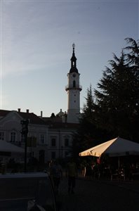 img 3399