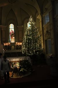 img 5737 resize
