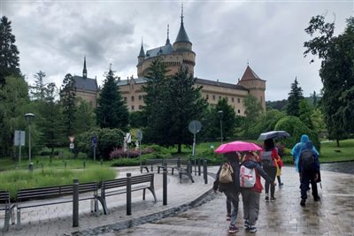bajmoc19