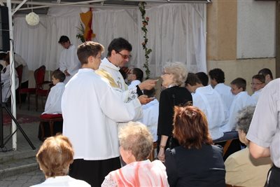 img 2377 resize