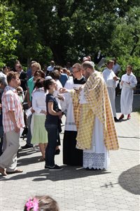 img 2378 resize