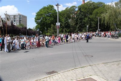 img 2445 resize