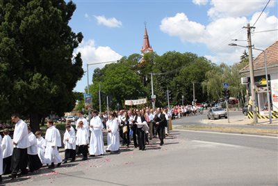 img 2453 resize