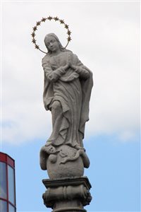 img 2534 resize