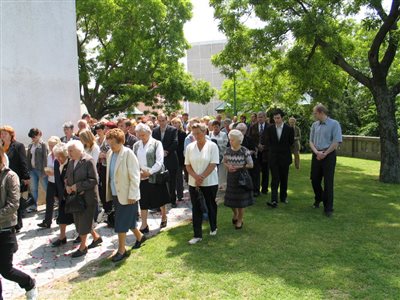 IMG 0029 resize