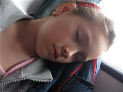 IMG 0432 resize