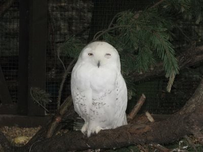 IMG 0567 resize