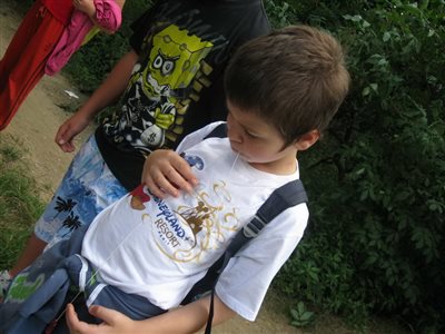 IMG 0725 resize