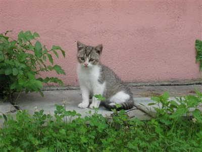 IMG 0833 resize