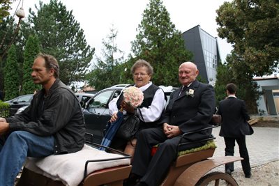 IMG 2997 resize